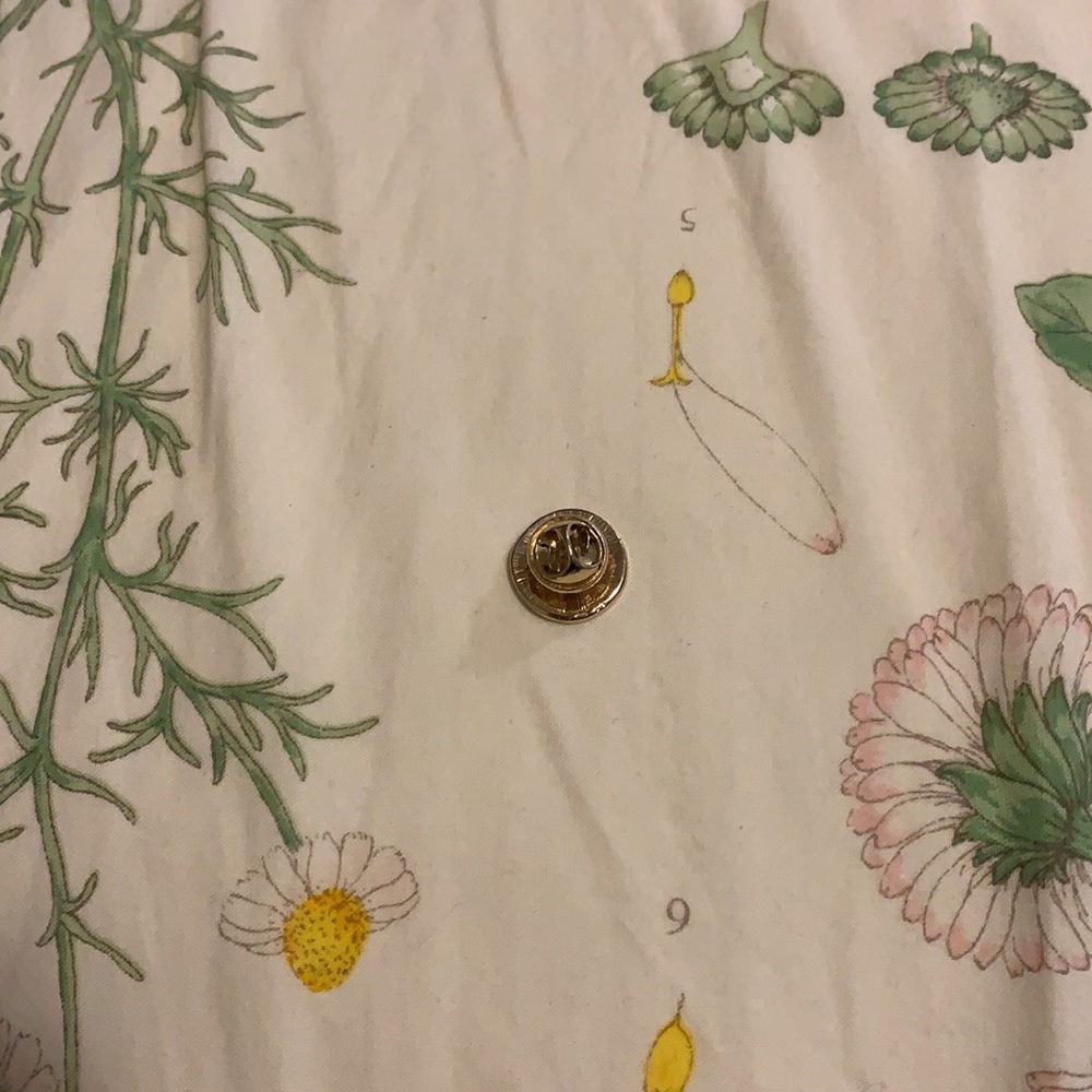 Kiwi pin - Picture 2 of 2